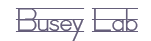 Busey Lab Logo